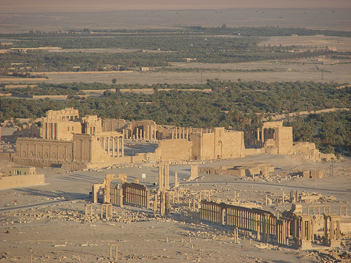 Palmyra